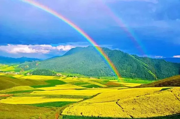 高原情怀，青海青稞酒颂